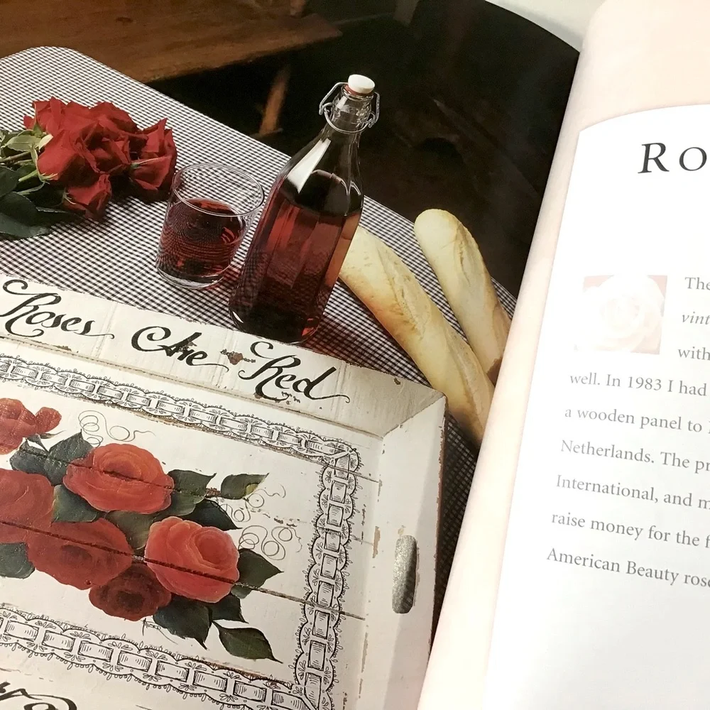 Book Of Roses 10 Tole Painting Projects Instructions Techniques Priscilla Hauser